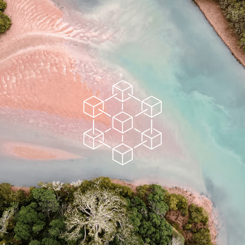 Harnessing Blockchain’s Potential for a Revolutionary VCM: Fostering Trust and&nbsp;Transparency