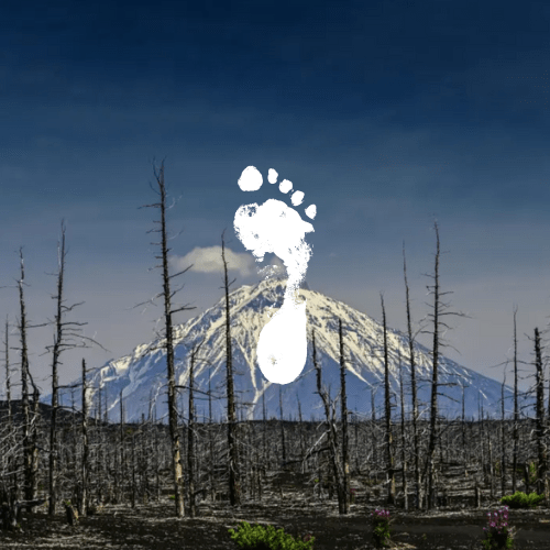 Measuring Carbon Footprints: The Path to Sustainable&nbsp;Impact