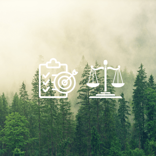 Mexico’s New Environmental Agenda: Quiet Reform, Big Climate&nbsp;Potential